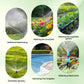 YIERYI Solar-Powered Smart Water Valve Controller with WiFi & Rain Sensor Yieryi