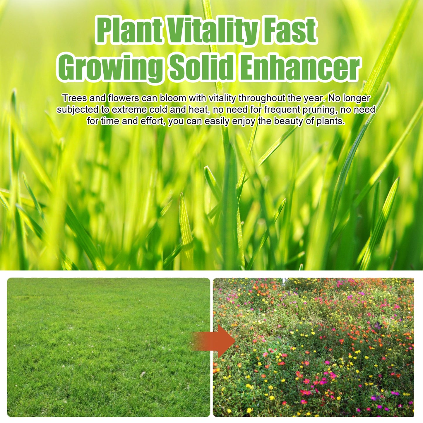 Plant Vitality Fast Growing Solid Enhancer 30G - Organic Fertilizer for Lawn, Potted Plants, Flowers & Root Growth Booster