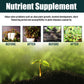 Plant Nutrient Supplement 30ML - Organic Fertilizer for Flowers, Potted Plants & Lawn Growth