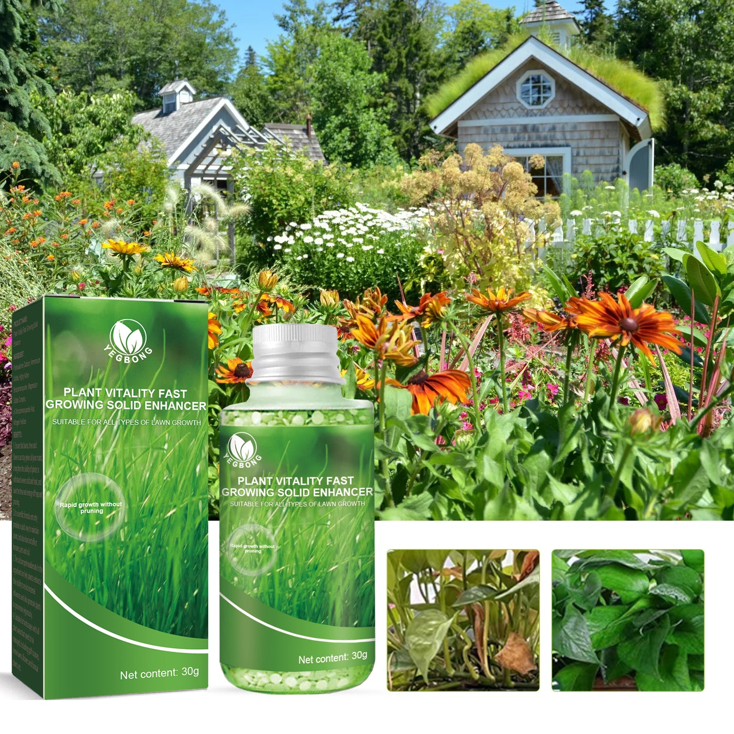 Plant Vitality Fast Growing Solid Enhancer 30G - Organic Fertilizer for Lawn, Potted Plants, Flowers & Root Growth Booster