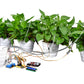 DIY Automatic Watering Kit, Compatible with Arduino, Ideal for Maker Competitions, STEAM Education & Mixly Programming Learning Yieryi
