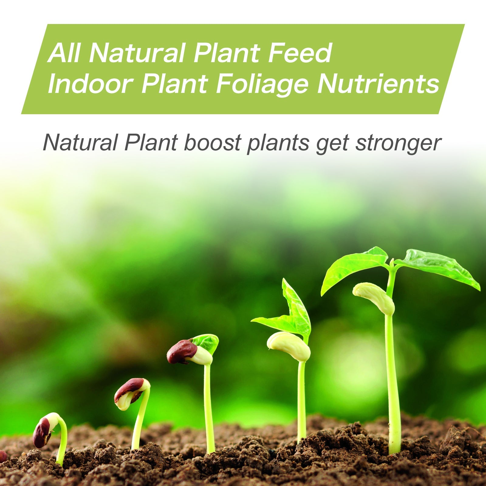 indoor plant nutrition All-Natural Plant Nutrient Powder – Growth Booster