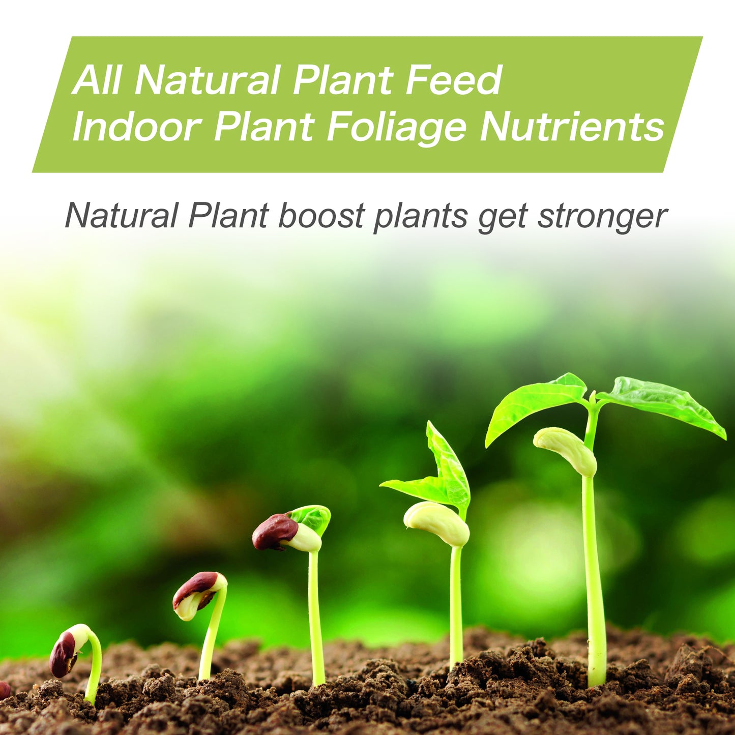 Plant Nutrient Boost Powder for Healthy Plants – All-Natural Plant Food