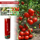 Plant Growth Nutrient Slow-Release Tablets | Boost Rooting & Growth | Universal for Fruits, Vegetables & Indoor Plants