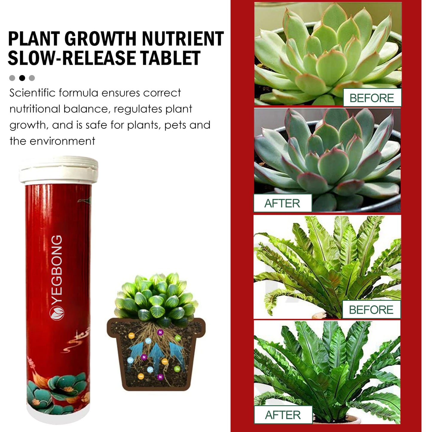 Plant Growth Nutrient Slow-Release Tablets | Boost Rooting & Growth | Universal for Fruits, Vegetables & Indoor Plants