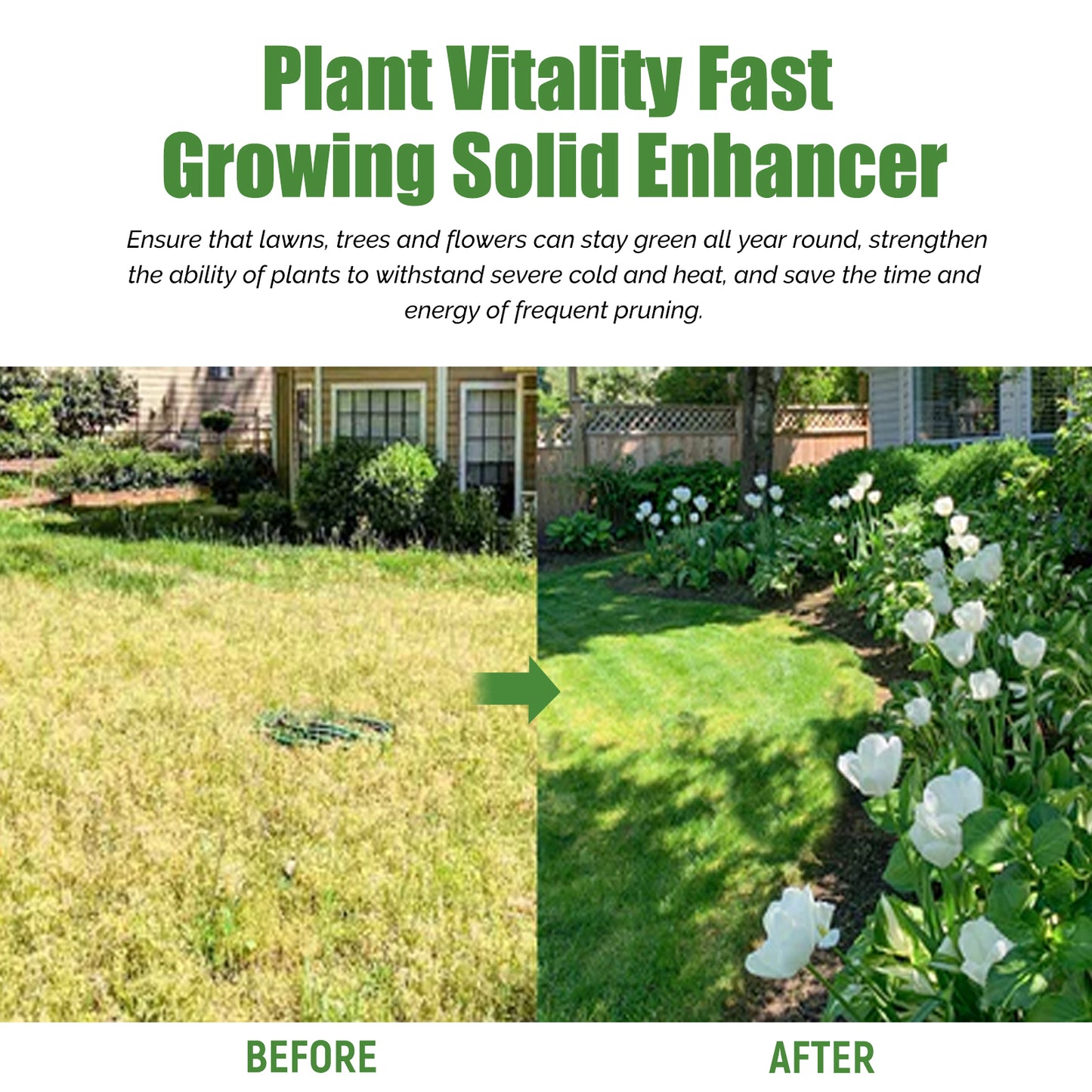 Plant Vitality Fast Growing Solid Enhancer 30G - Organic Fertilizer for Lawn, Potted Plants, Flowers & Root Growth Booster