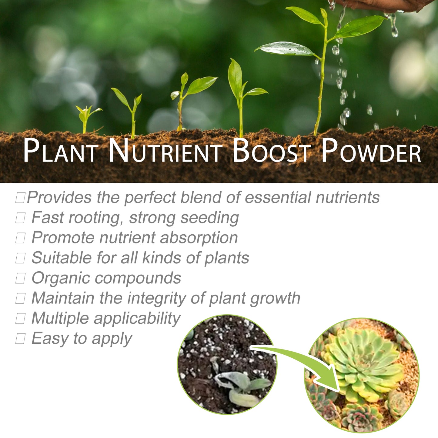 Plant Nutrient Boost Powder for Healthy Plants – All-Natural Plant Food