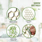 Honeycomb Plant Bracket - 3PCS | Vertical Plant Support | Indoor Garden Decor