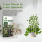 Honeycomb Plant Bracket - 3PCS | Vertical Plant Support | Indoor Garden Decor