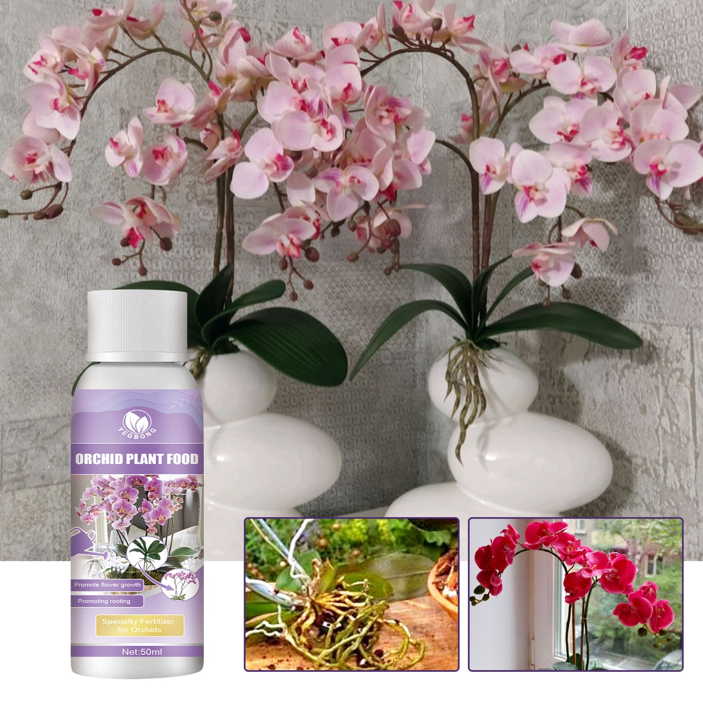 Orchid Plant Food Fertilizer - Boost Your Orchid's Growth & Health!