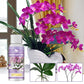 Orchid Plant Food Fertilizer - Boost Your Orchid's Growth & Health!