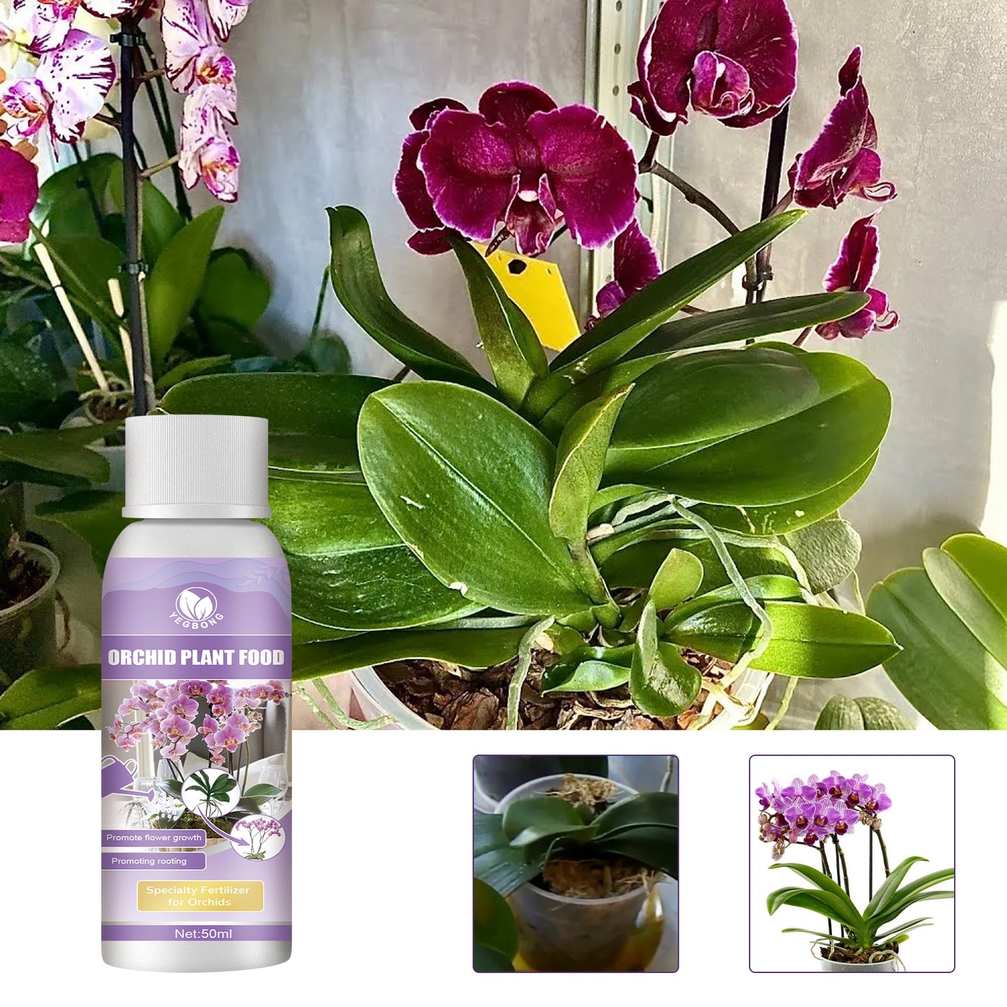 Orchid Plant Food Fertilizer - Boost Your Orchid's Growth & Health!