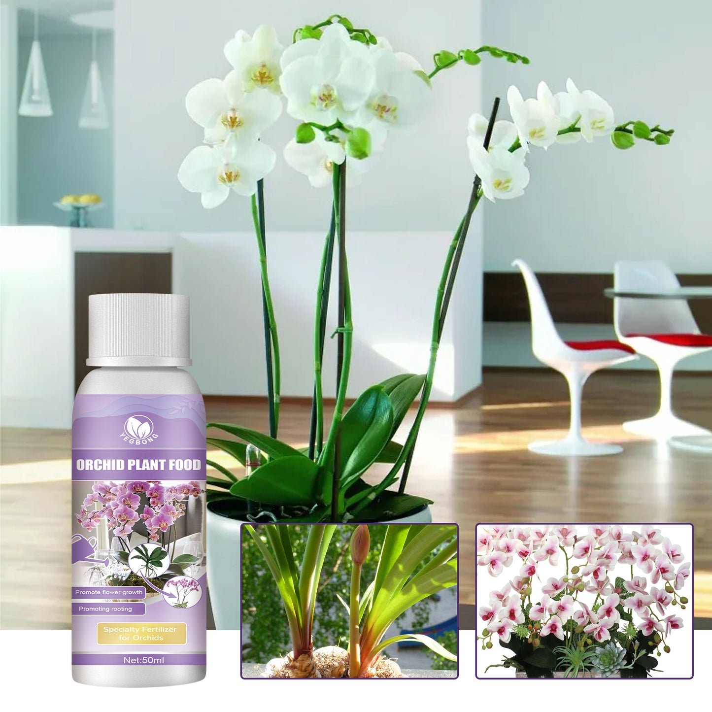 Orchid Plant Food Fertilizer - Boost Your Orchid's Growth & Health!