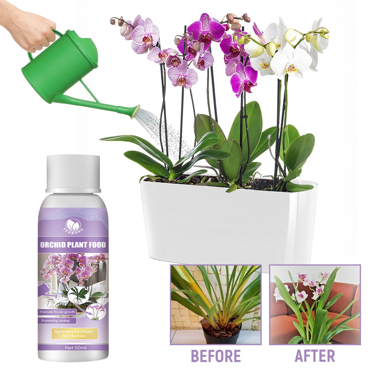 Orchid Plant Food Fertilizer - Boost Your Orchid's Growth & Health!