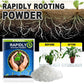 Rapidly Rooting Powder – Accelerate Your Plant’s Growth!