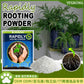 Rapidly Rooting Powder – Accelerate Your Plant’s Growth!