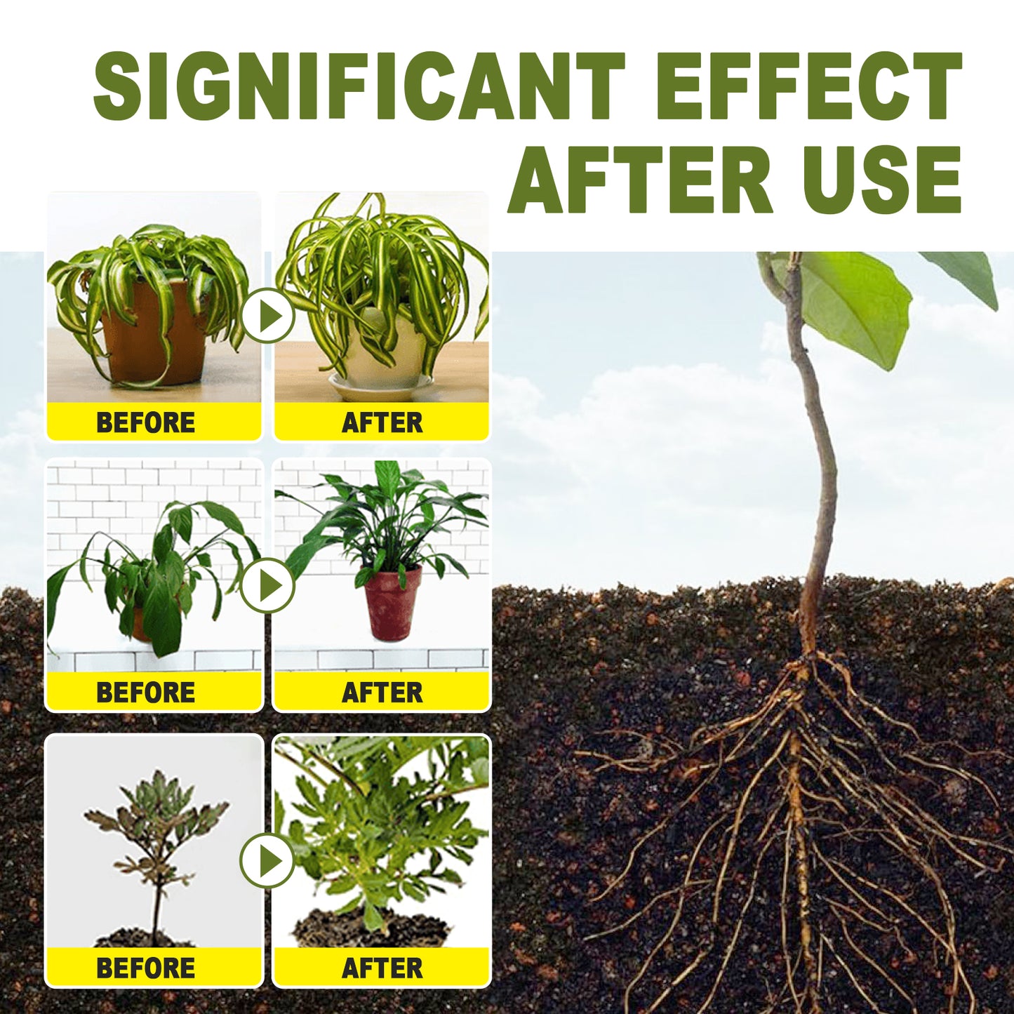 Rapidly Rooting Powder – Accelerate Your Plant’s Growth!