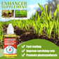 【50ML Plant Growth Enhancer】Root Booster | Fast Growth | Organic Liquid Fertilizer