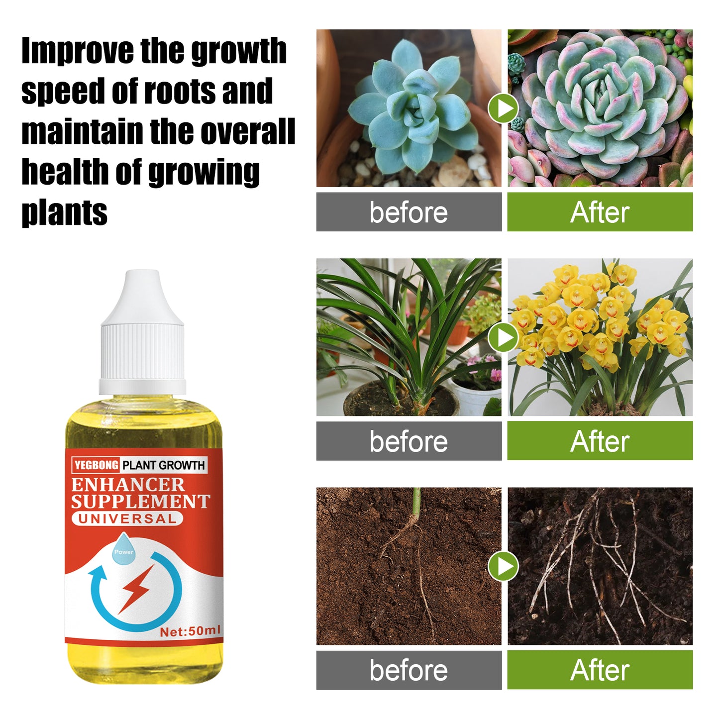 【50ML Plant Growth Enhancer】Root Booster | Fast Growth | Organic Liquid Fertilizer