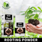 Plant Growth Nutrient Tablets | Slow-Release Fertilizer for Rooting & Growth | Ideal for Fruit, Vegetable, & Indoor Plants